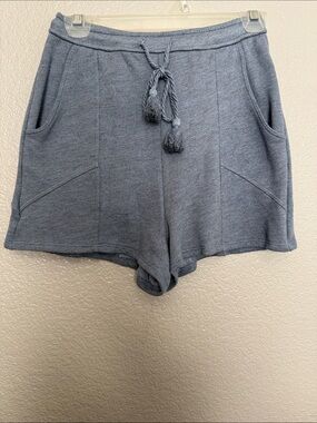 Lovers + Friends Light Blue Terry Pullover